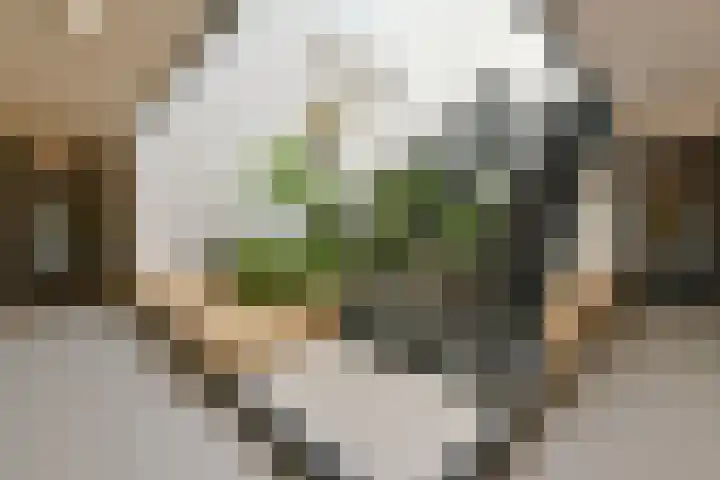 Ooievaar 23 Mijdrecht thumbnail 6