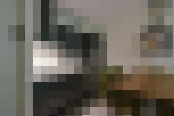 Ooievaar 23 Mijdrecht thumbnail 8