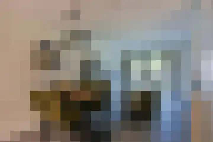 Ooievaar 23 Mijdrecht thumbnail 9