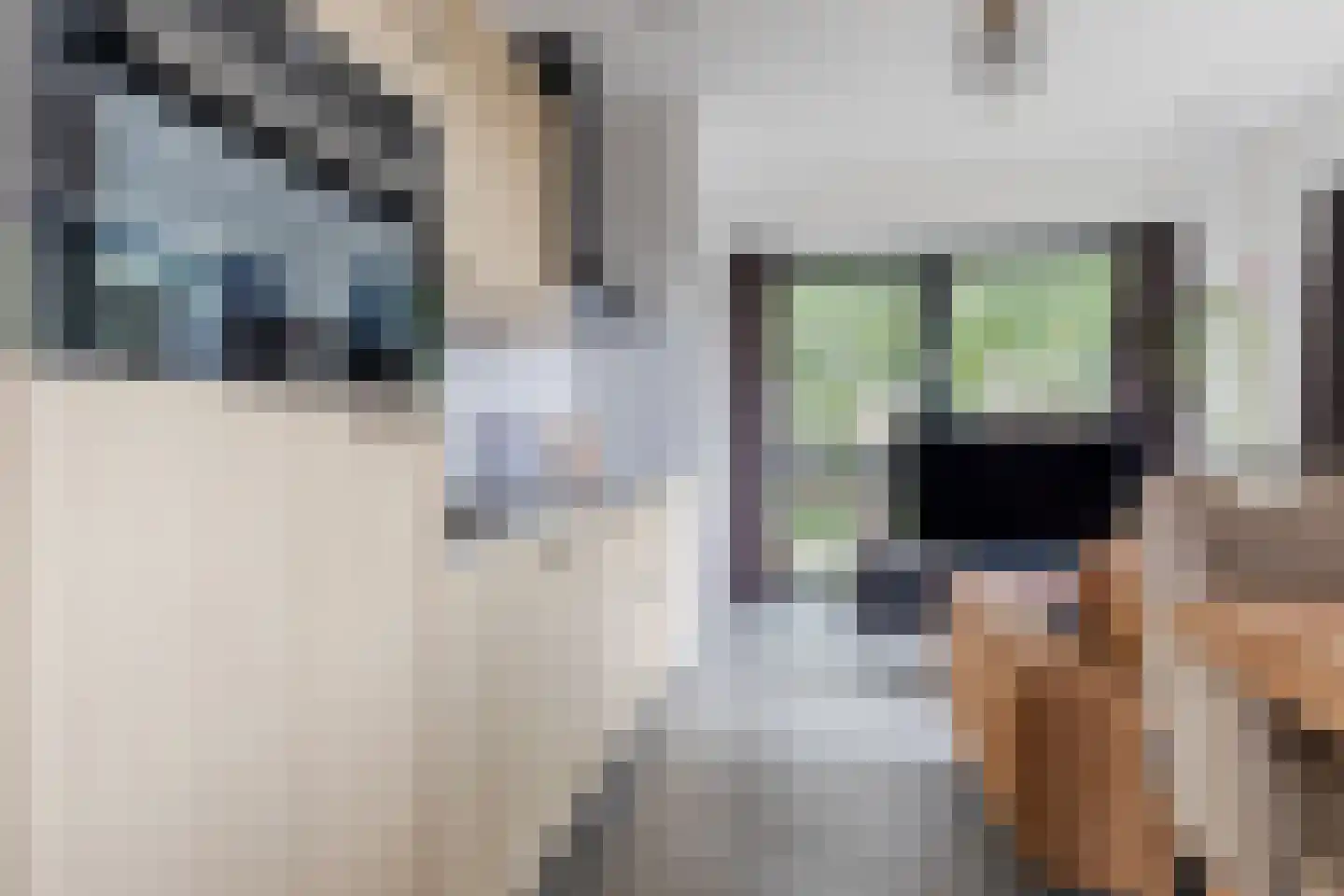 Ooievaar 24 Mijdrecht thumbnail 15