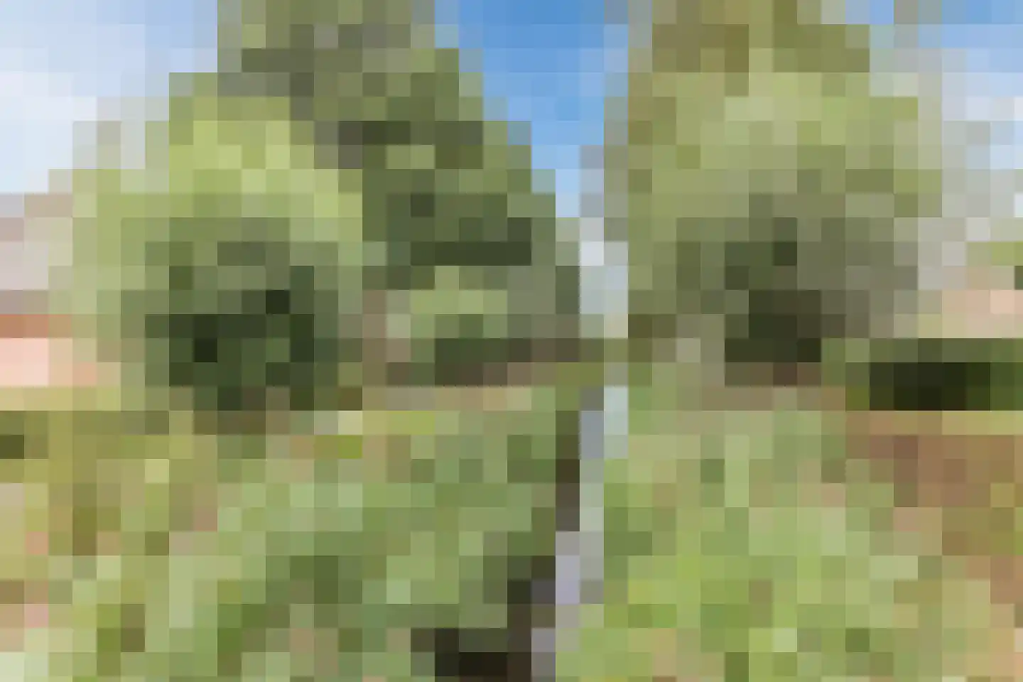 Ooievaar 24 Mijdrecht thumbnail 34