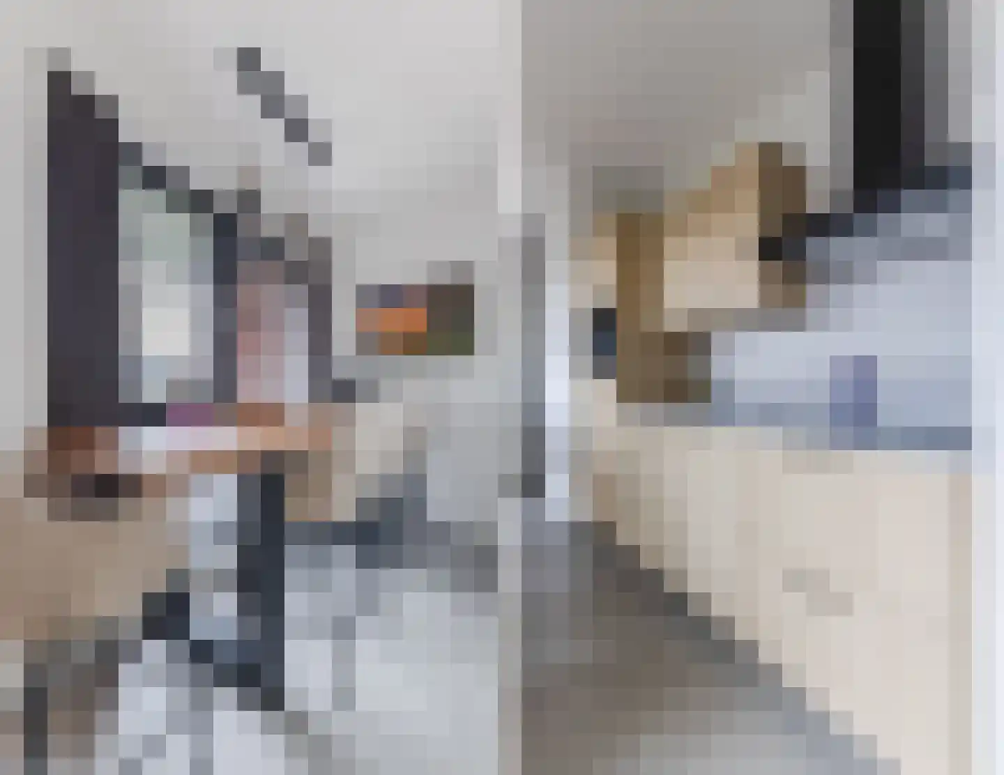 Ooievaar 24 Mijdrecht thumbnail 4
