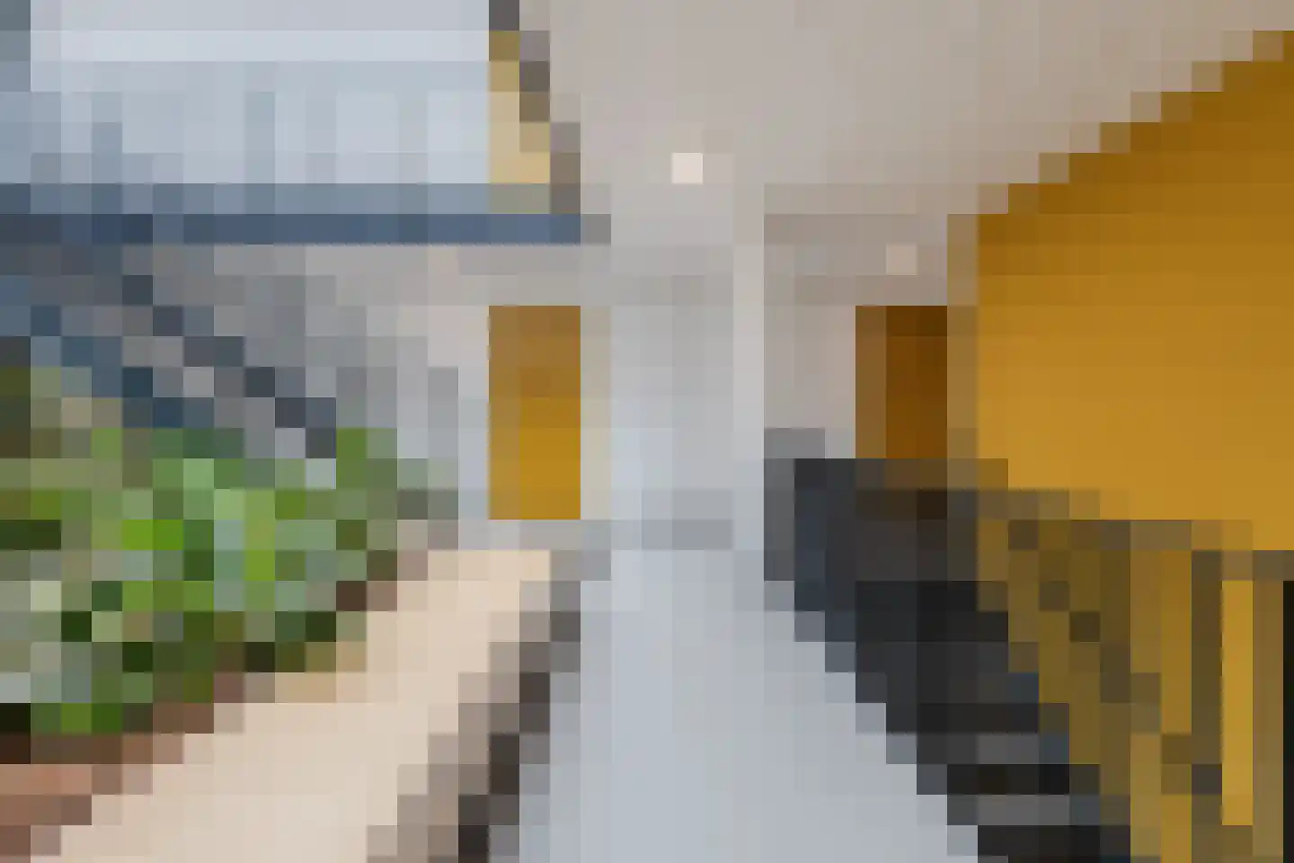 Ooievaar 24 Mijdrecht thumbnail 6