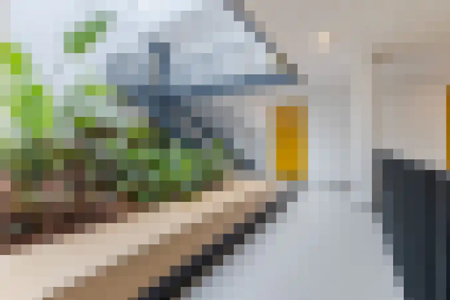 Ooievaar 24 Mijdrecht thumbnail 7