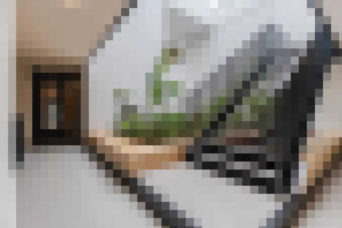 Ooievaar 24 Mijdrecht thumbnail 8