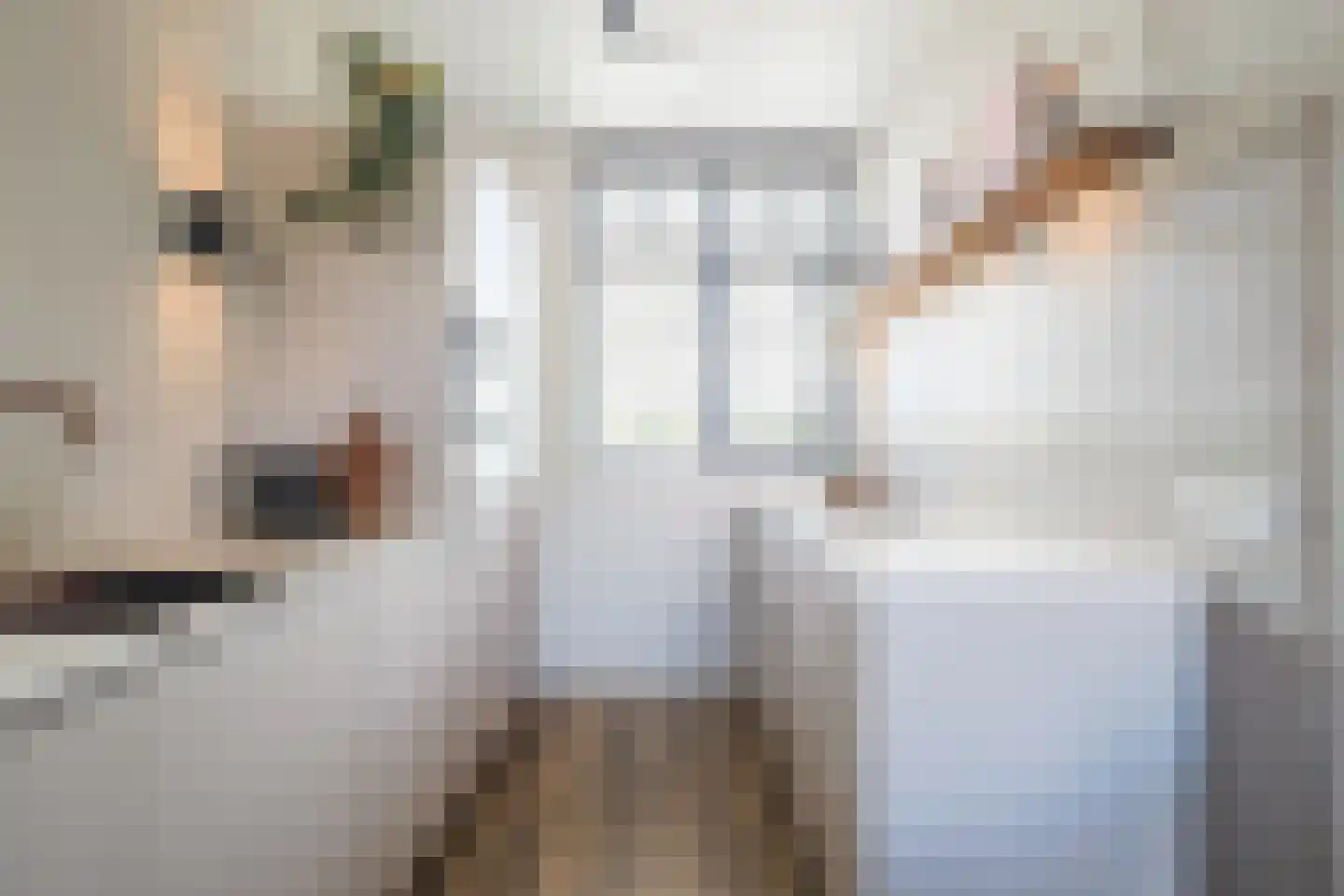 Ooievaar 35 Esch thumbnail 11