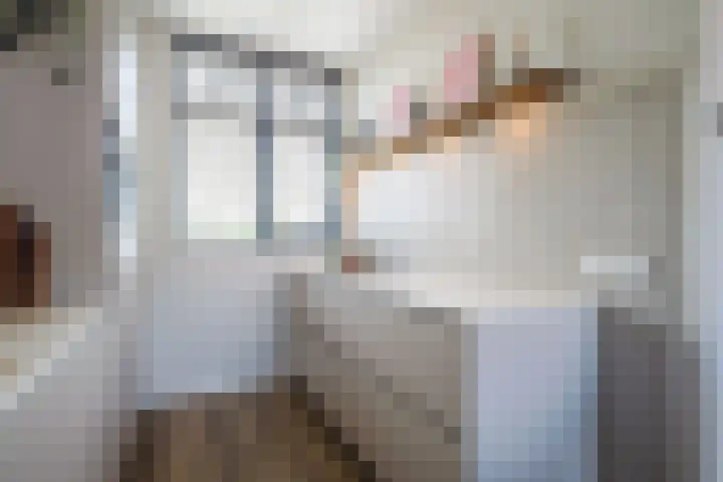 Ooievaar 35 Esch thumbnail 12