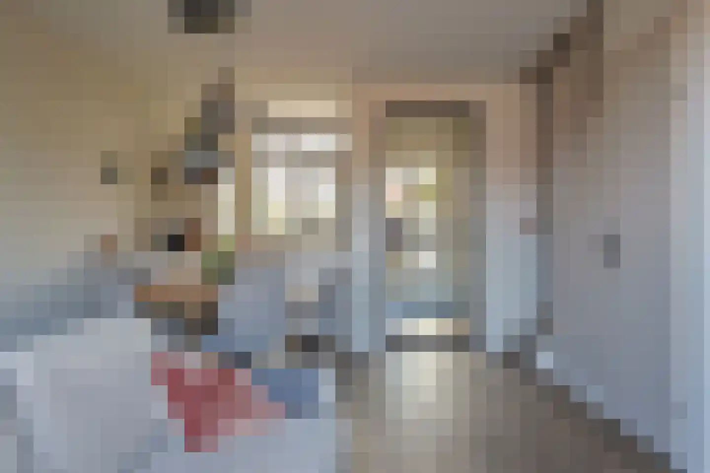 Ooievaar 35 Esch thumbnail 17