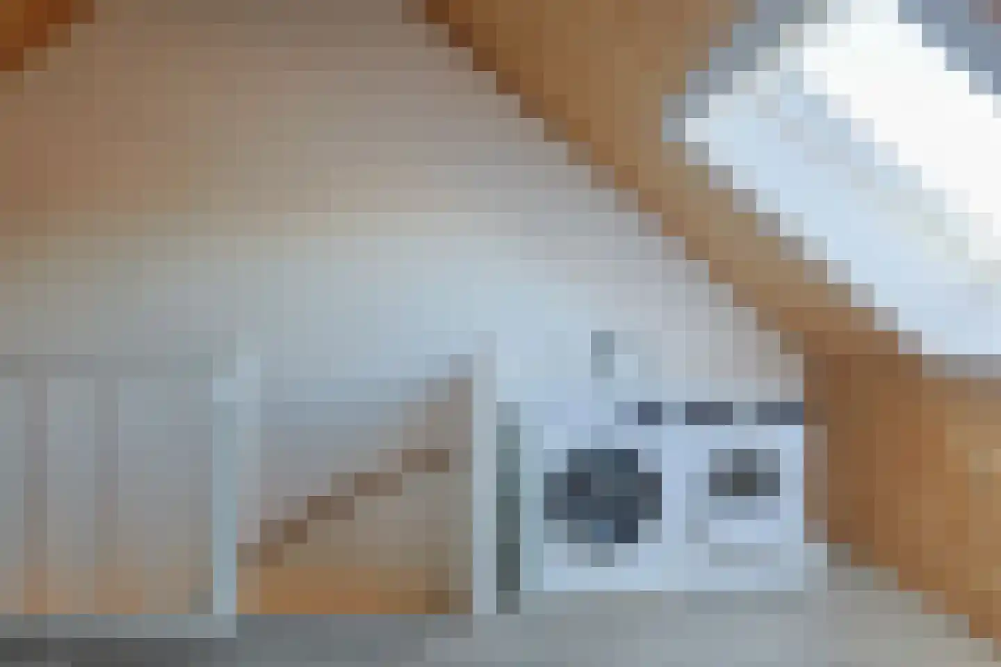 Ooievaar 35 Esch thumbnail 34
