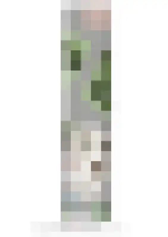 Ooievaar 35 Esch thumbnail 50