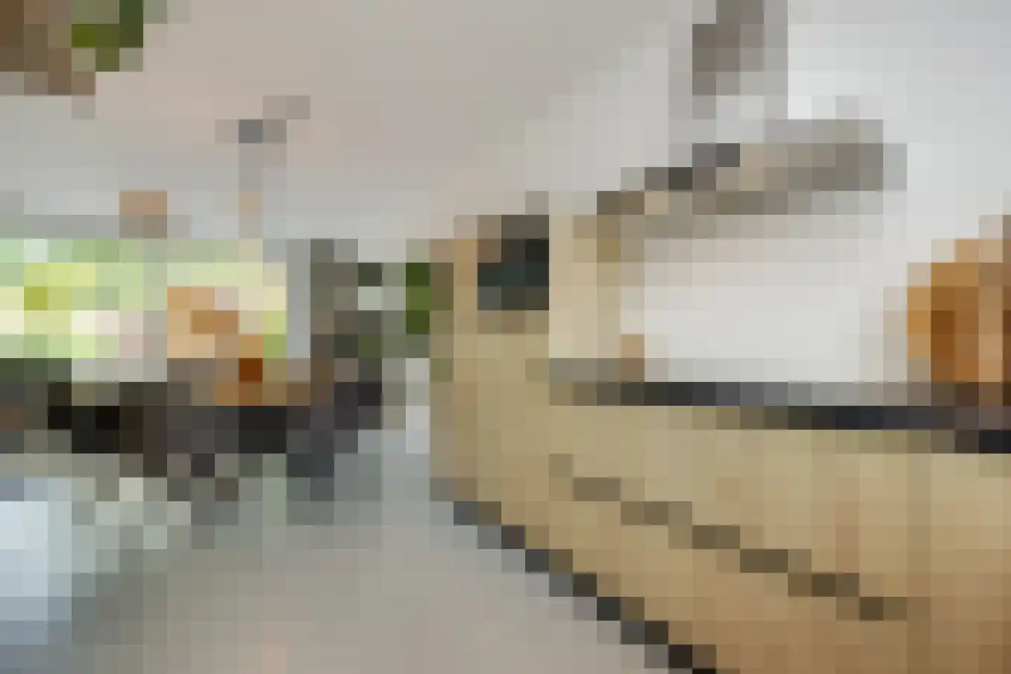 Ooievaar 47 Esch thumbnail 10