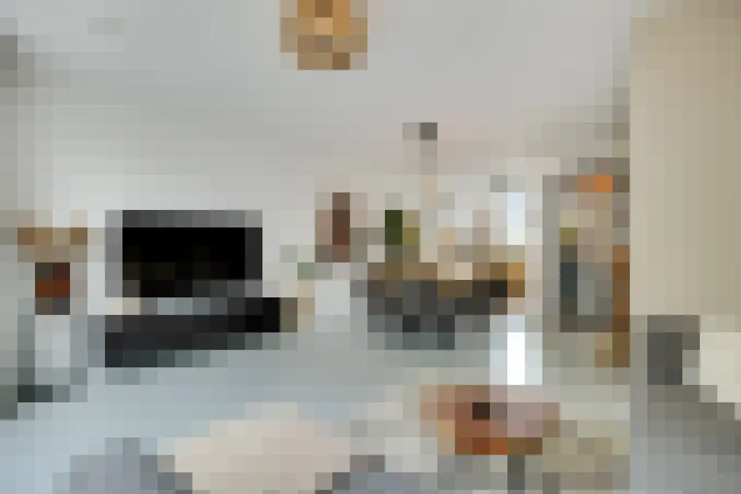 Ooievaar 47 Esch thumbnail 16