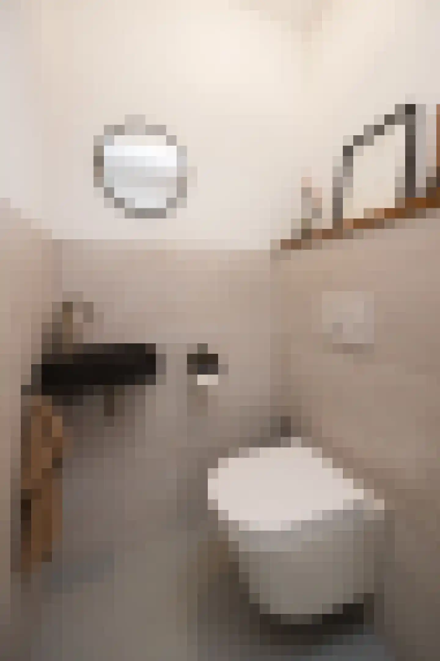 Ooievaar 47 Esch thumbnail 19