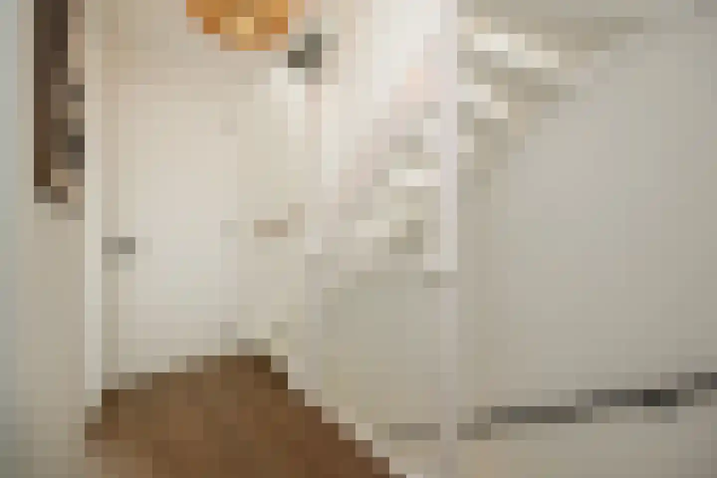 Ooievaar 47 Esch thumbnail 25