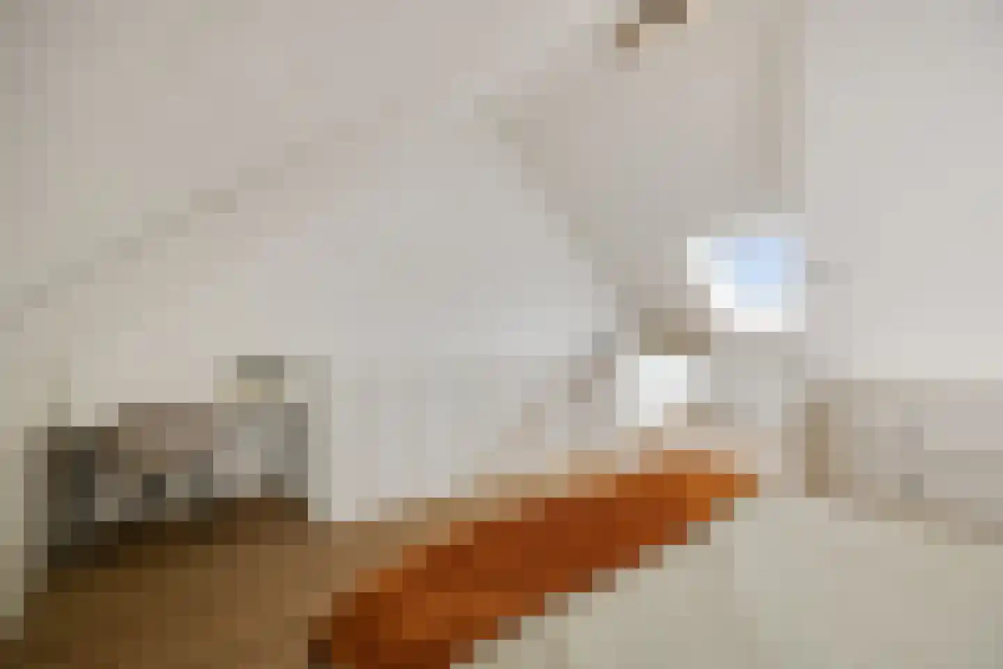 Ooievaar 47 Esch thumbnail 33