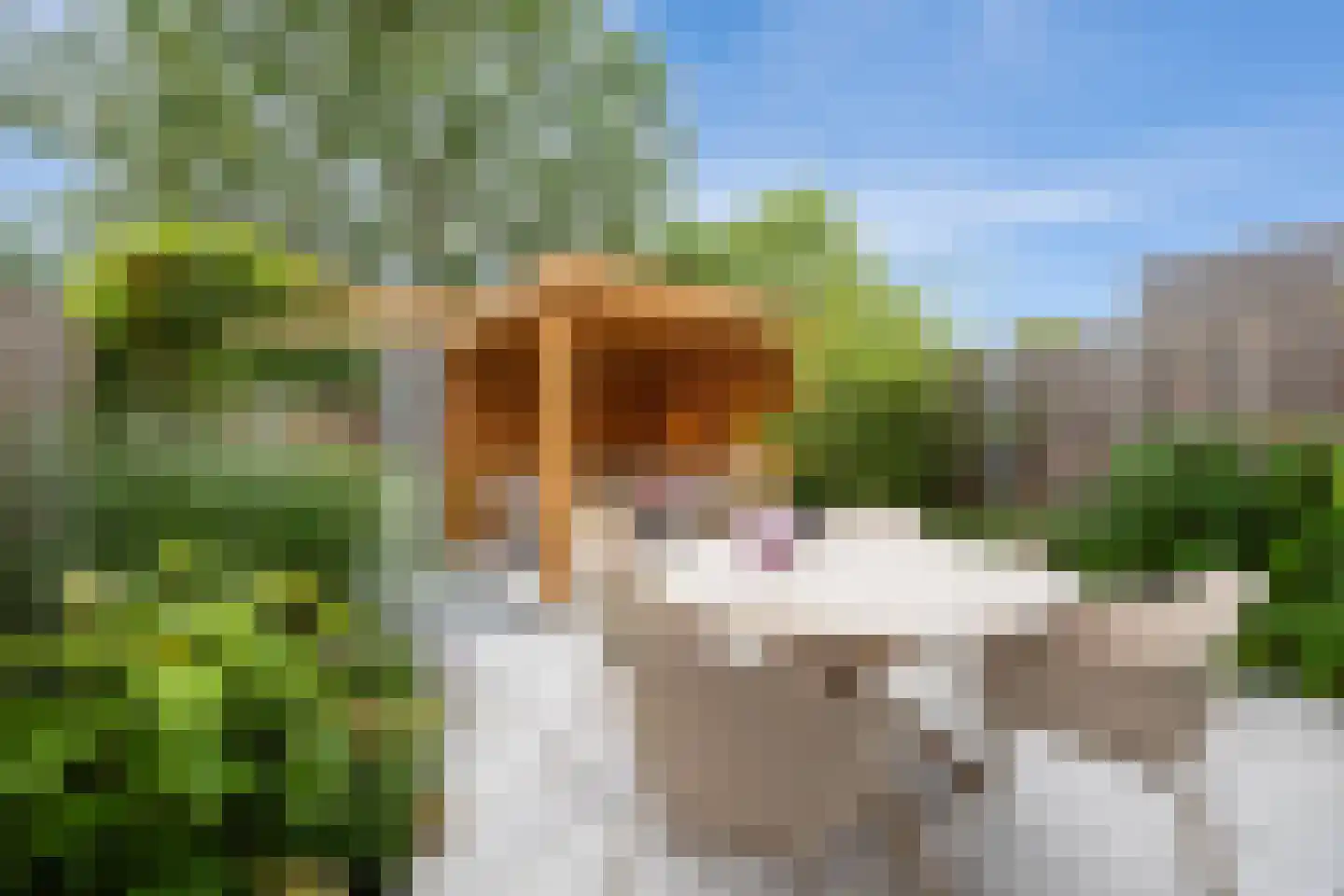 Ooievaar 47 Esch thumbnail 35