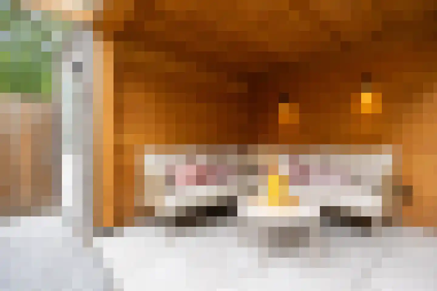 Ooievaar 47 Esch thumbnail 38