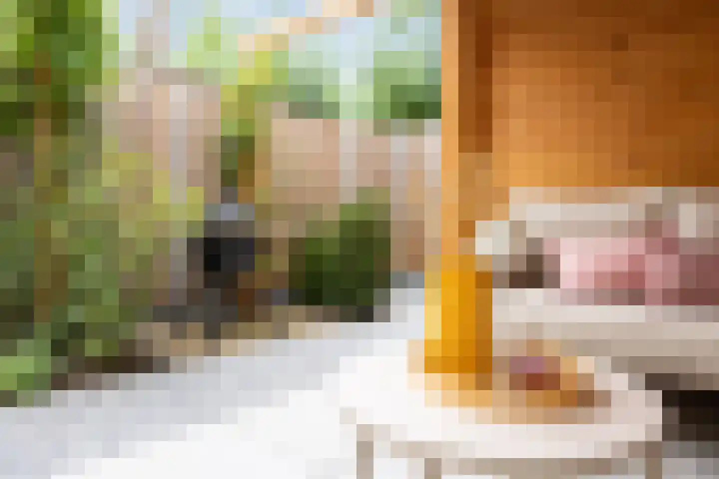 Ooievaar 47 Esch thumbnail 39