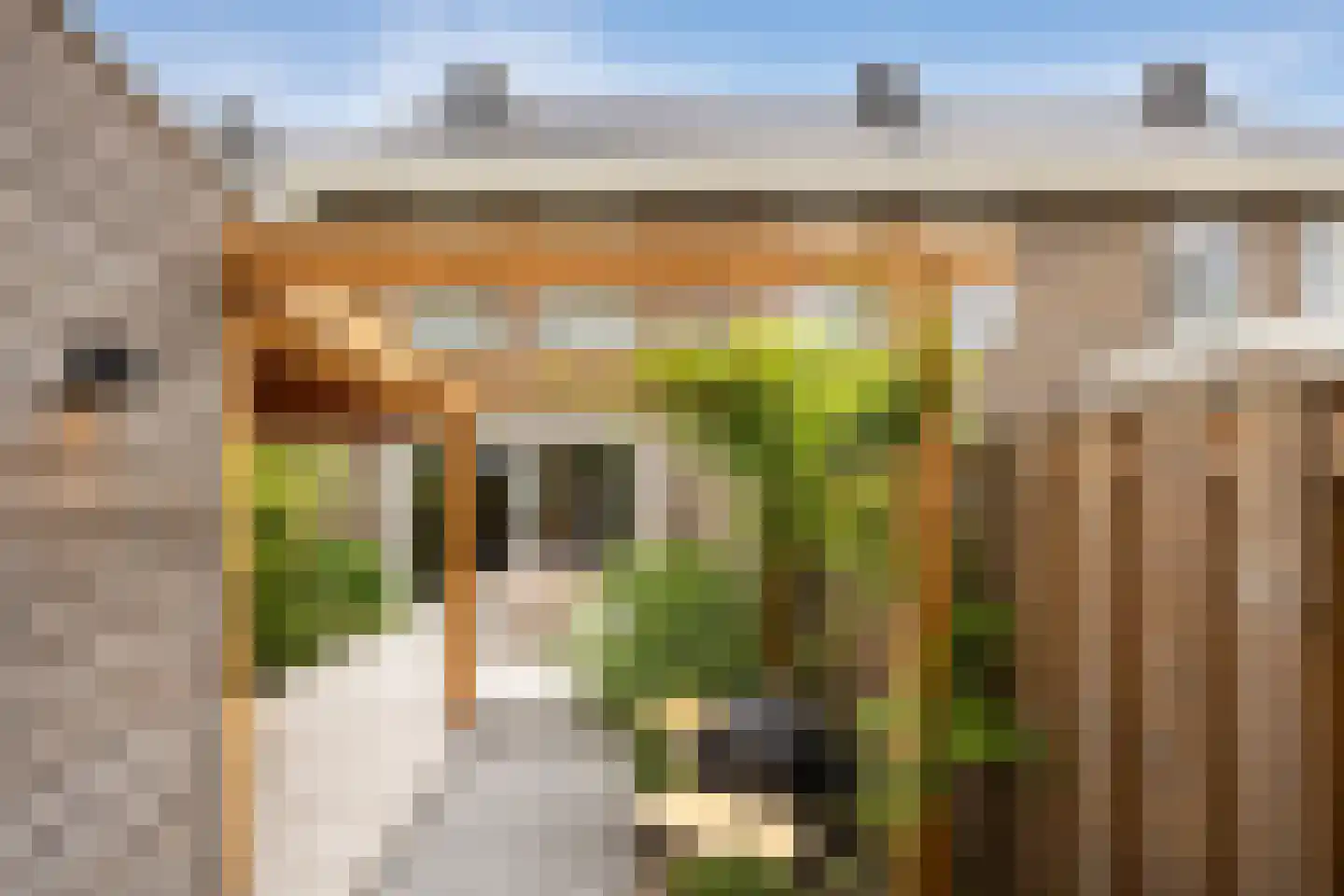 Ooievaar 47 Esch thumbnail 40