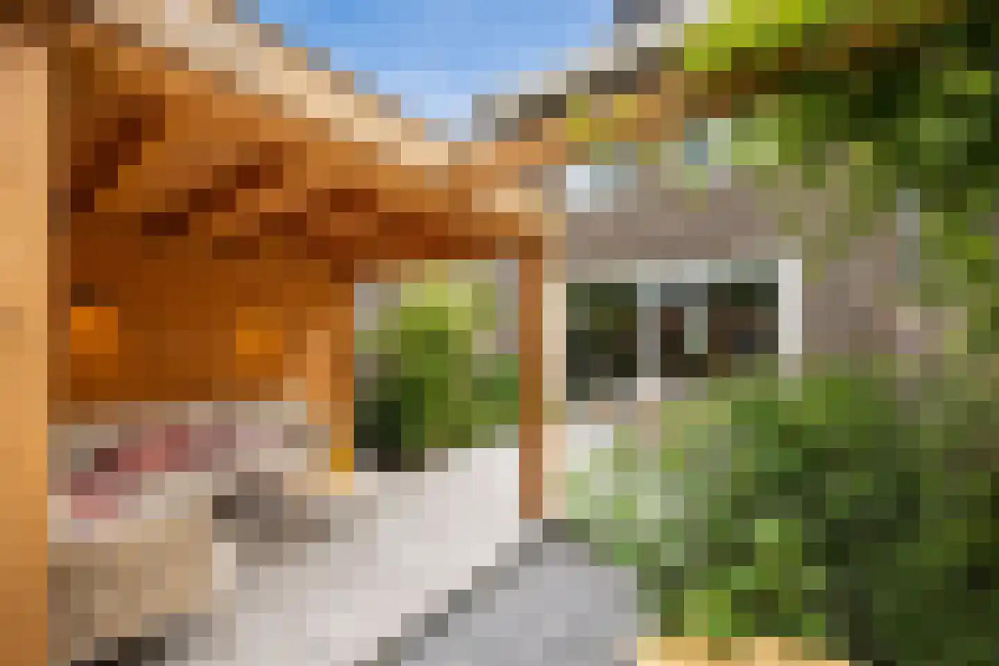 Ooievaar 47 Esch thumbnail 41