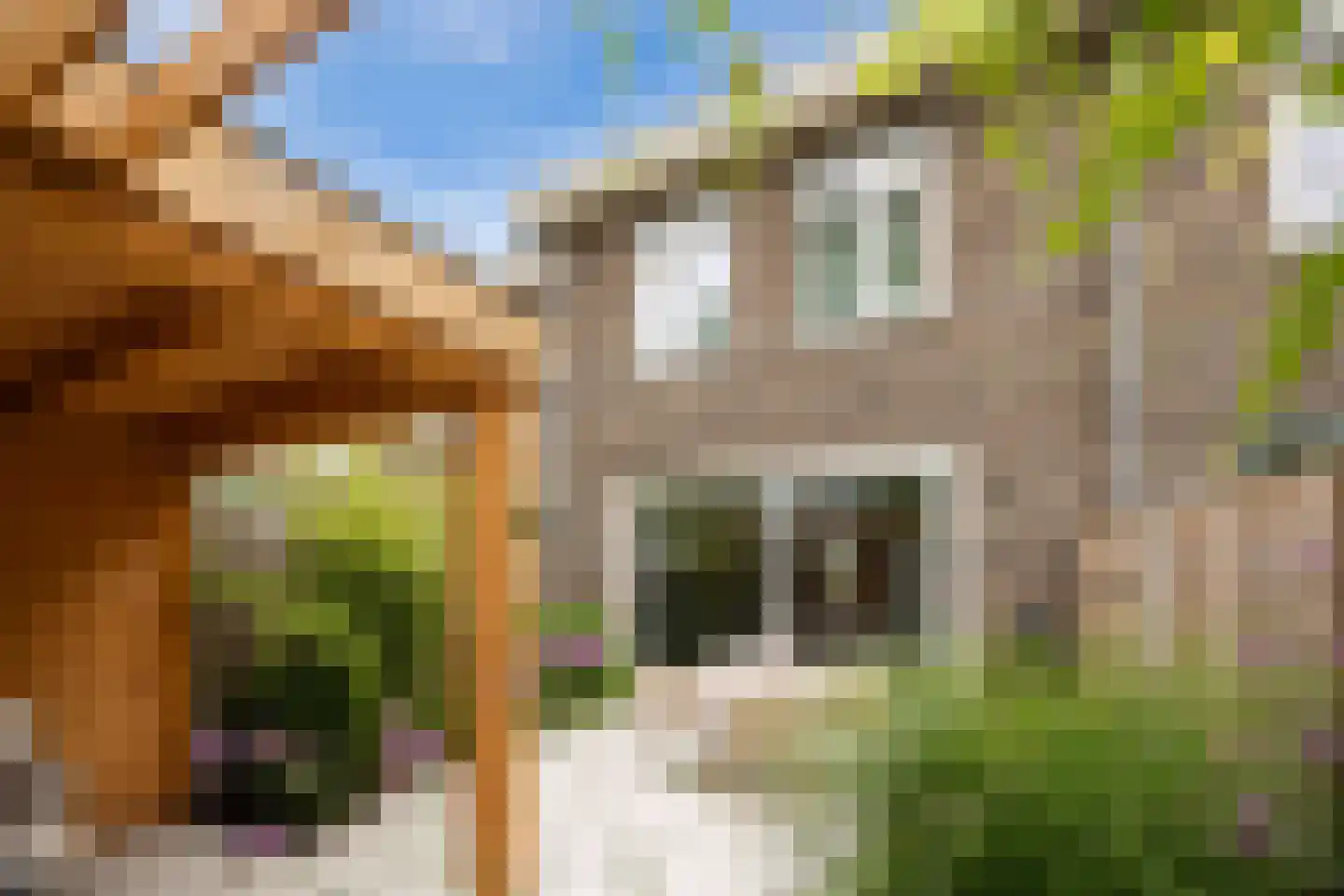 Ooievaar 47 Esch thumbnail 42