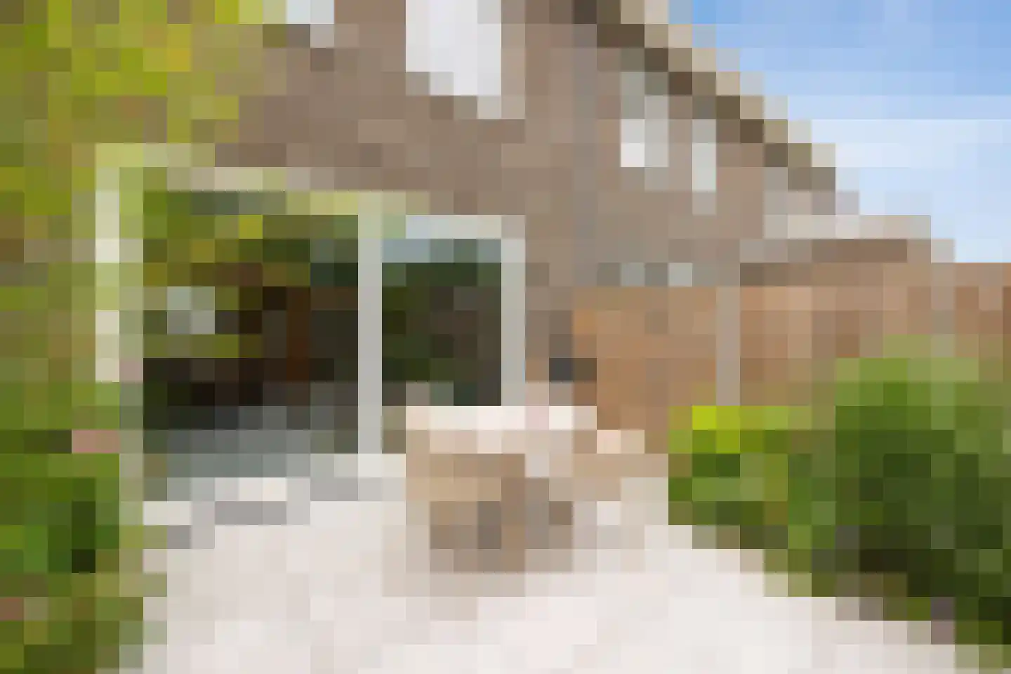 Ooievaar 47 Esch thumbnail 43