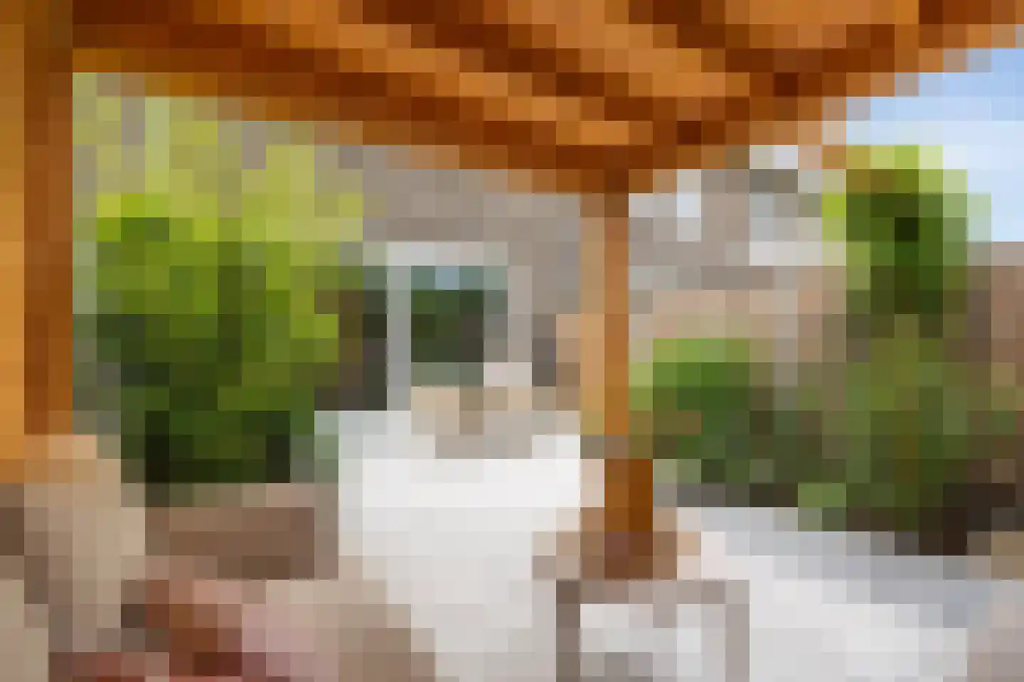 Ooievaar 47 Esch thumbnail 44