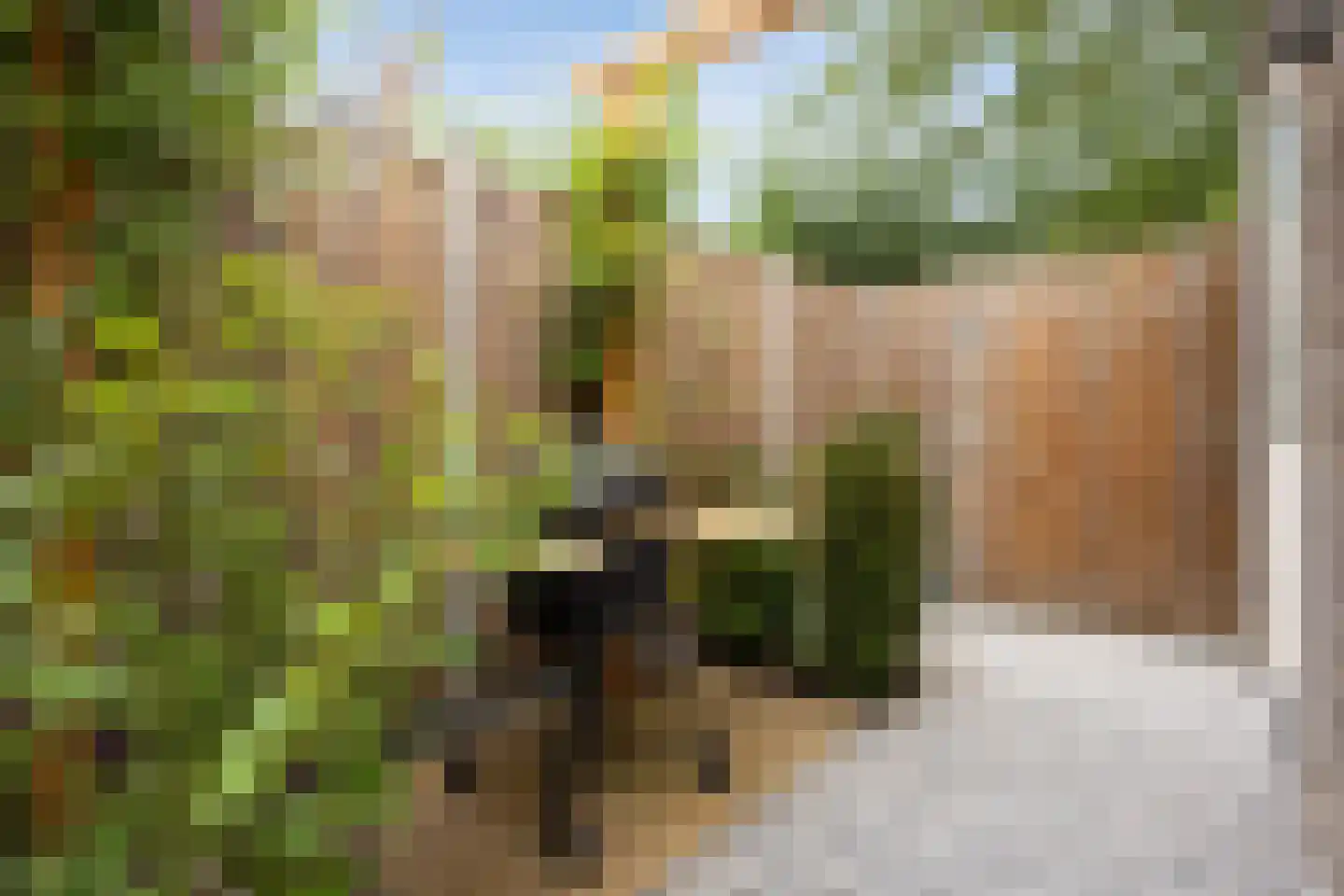Ooievaar 47 Esch thumbnail 45
