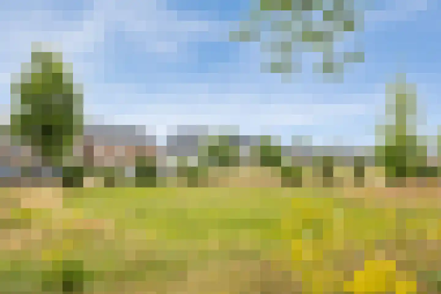 Ooievaar 47 Esch thumbnail 50