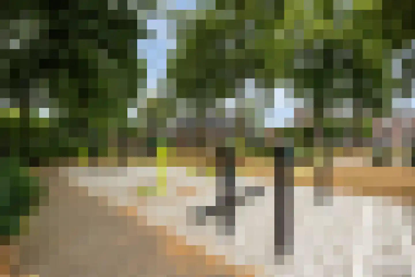 Ooievaar 47 Esch thumbnail 51