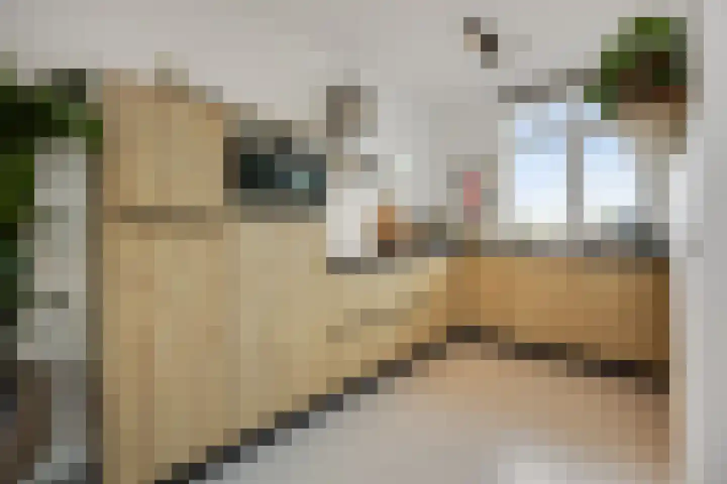 Ooievaar 47 Esch thumbnail 8