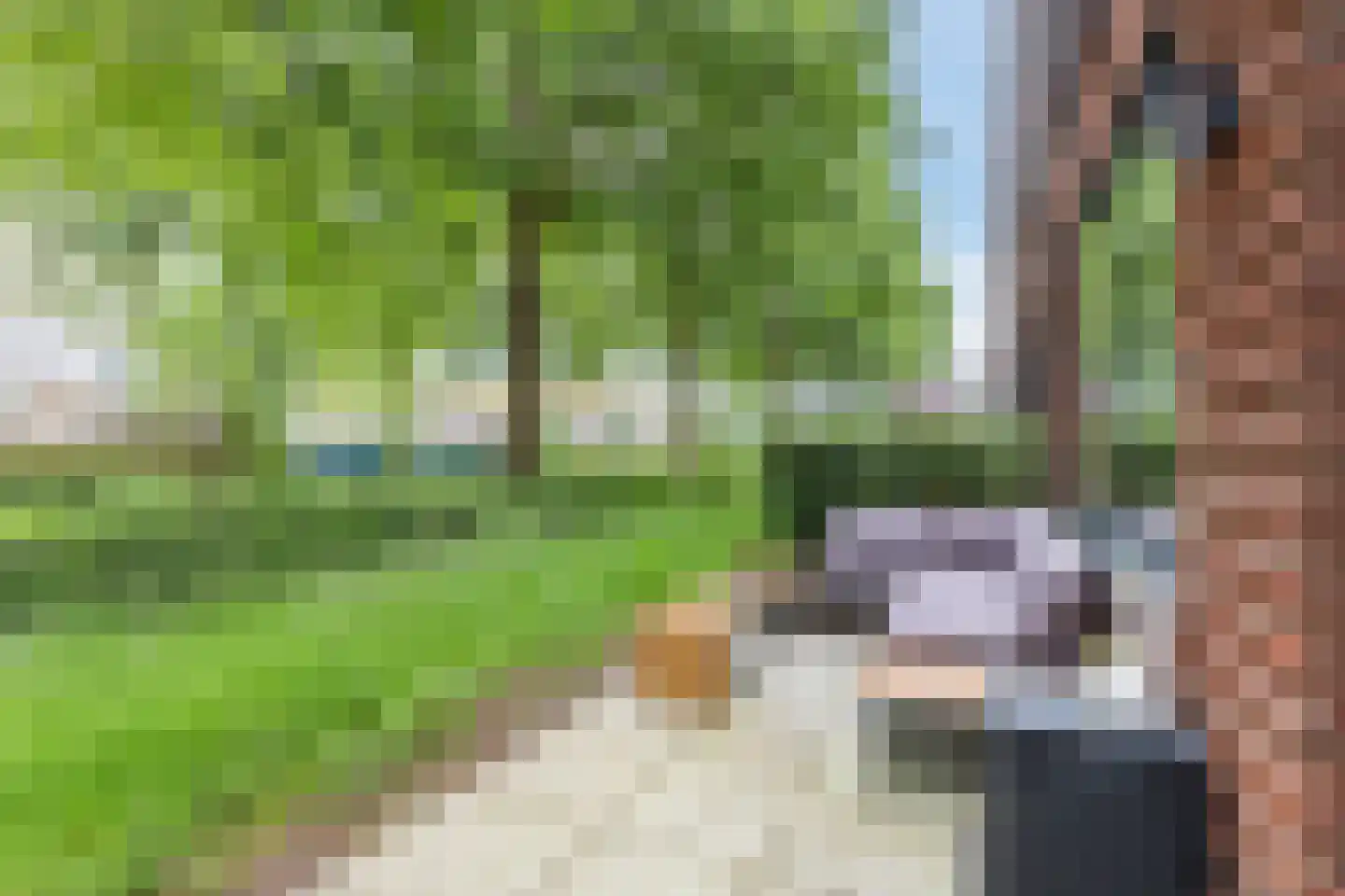 Ooievaar 5 Mijdrecht thumbnail 17