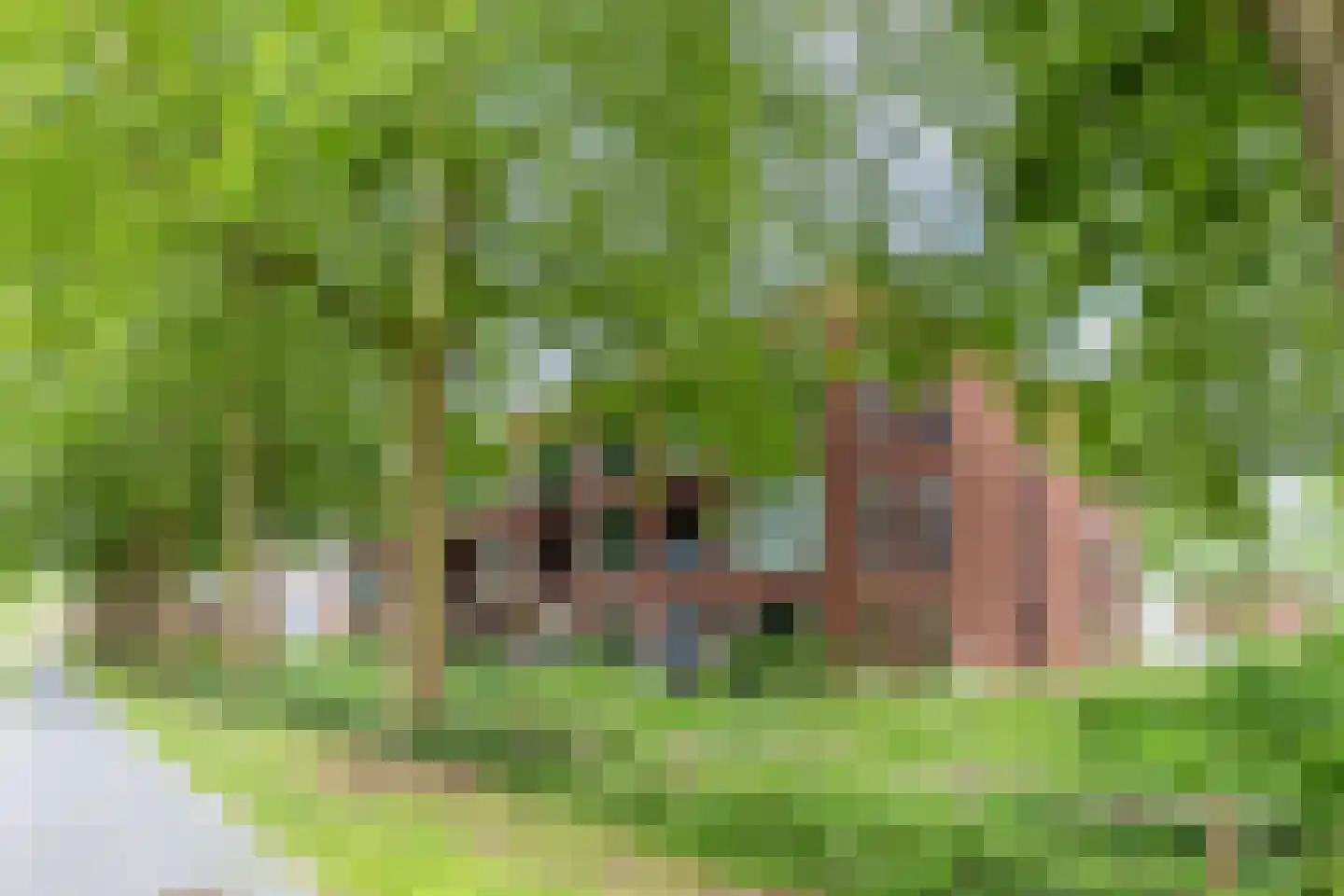 Ooievaar 5 Mijdrecht thumbnail 24