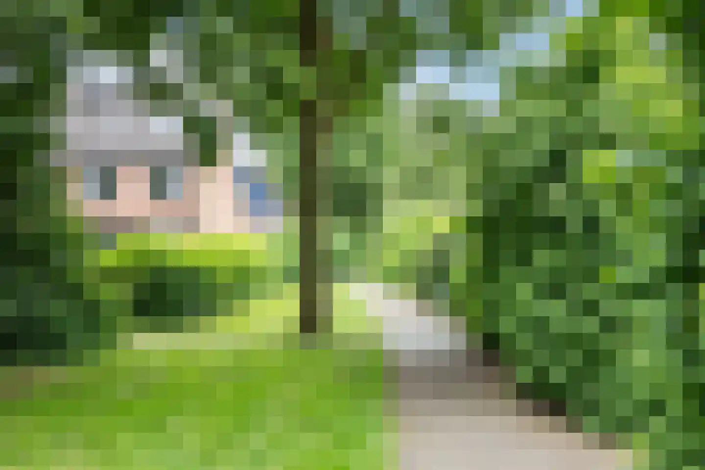Ooievaar 5 Mijdrecht thumbnail 26