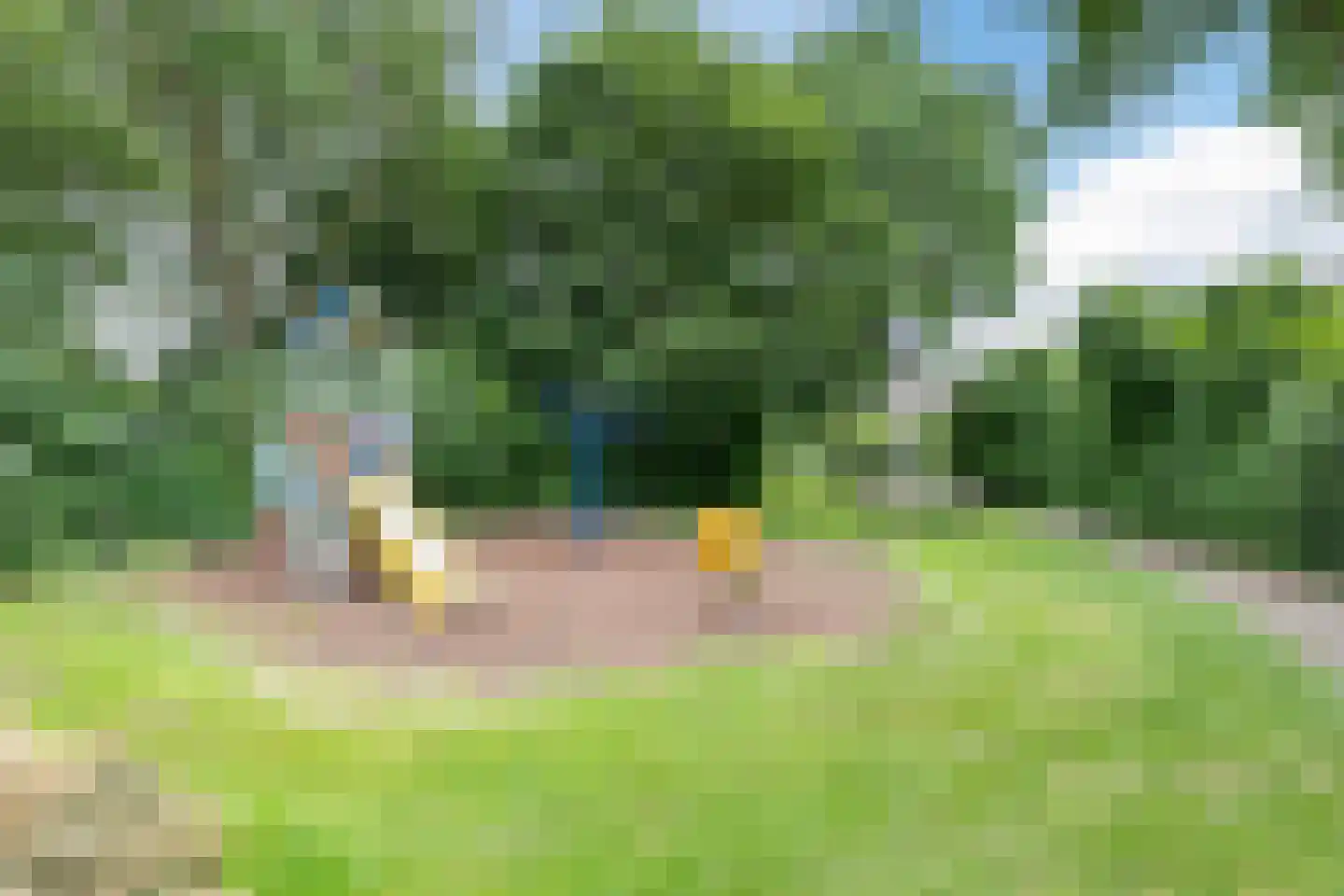 Ooievaar 5 Mijdrecht thumbnail 27