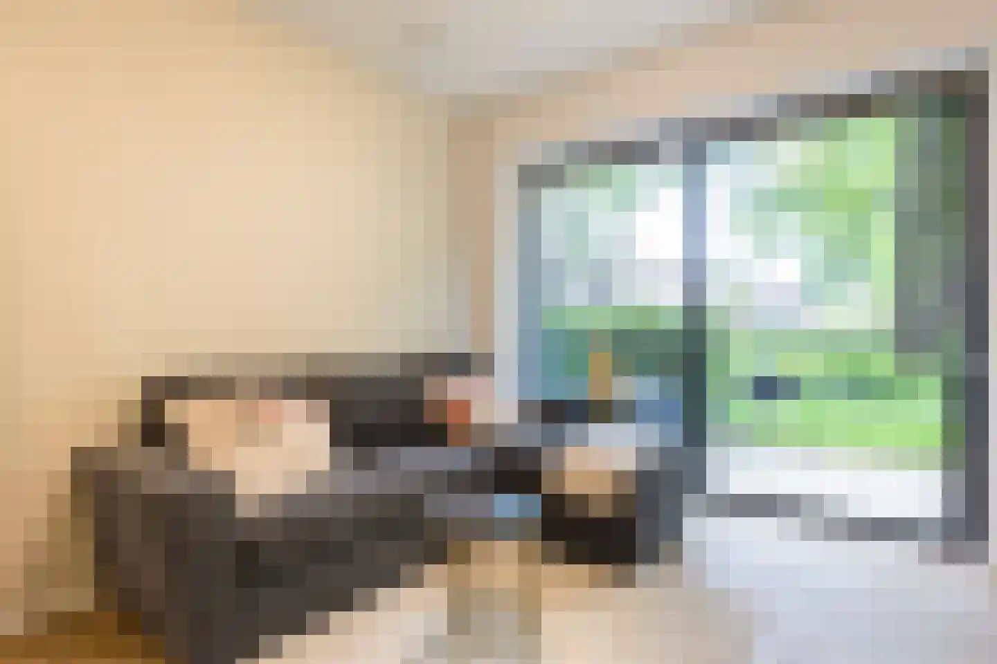 Ooievaar 5 Mijdrecht thumbnail 4