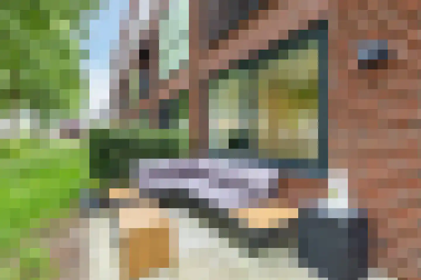 Ooievaar 5 Mijdrecht thumbnail 6