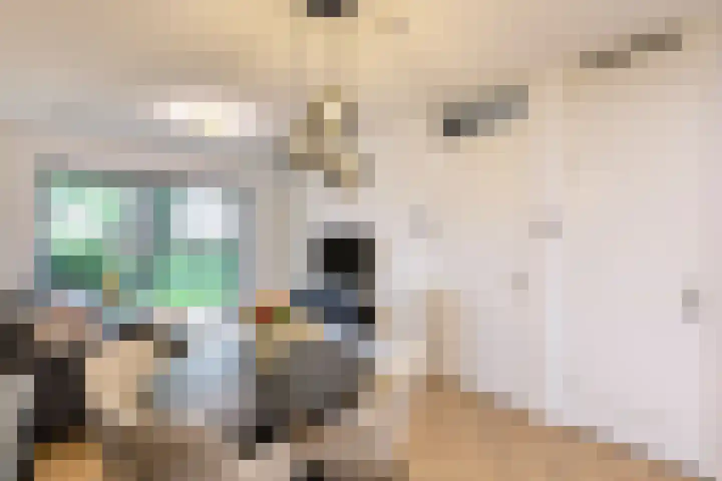 Ooievaar 5 Mijdrecht thumbnail 7