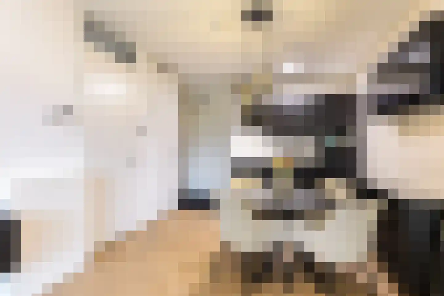 Ooievaar 5 Mijdrecht thumbnail 8