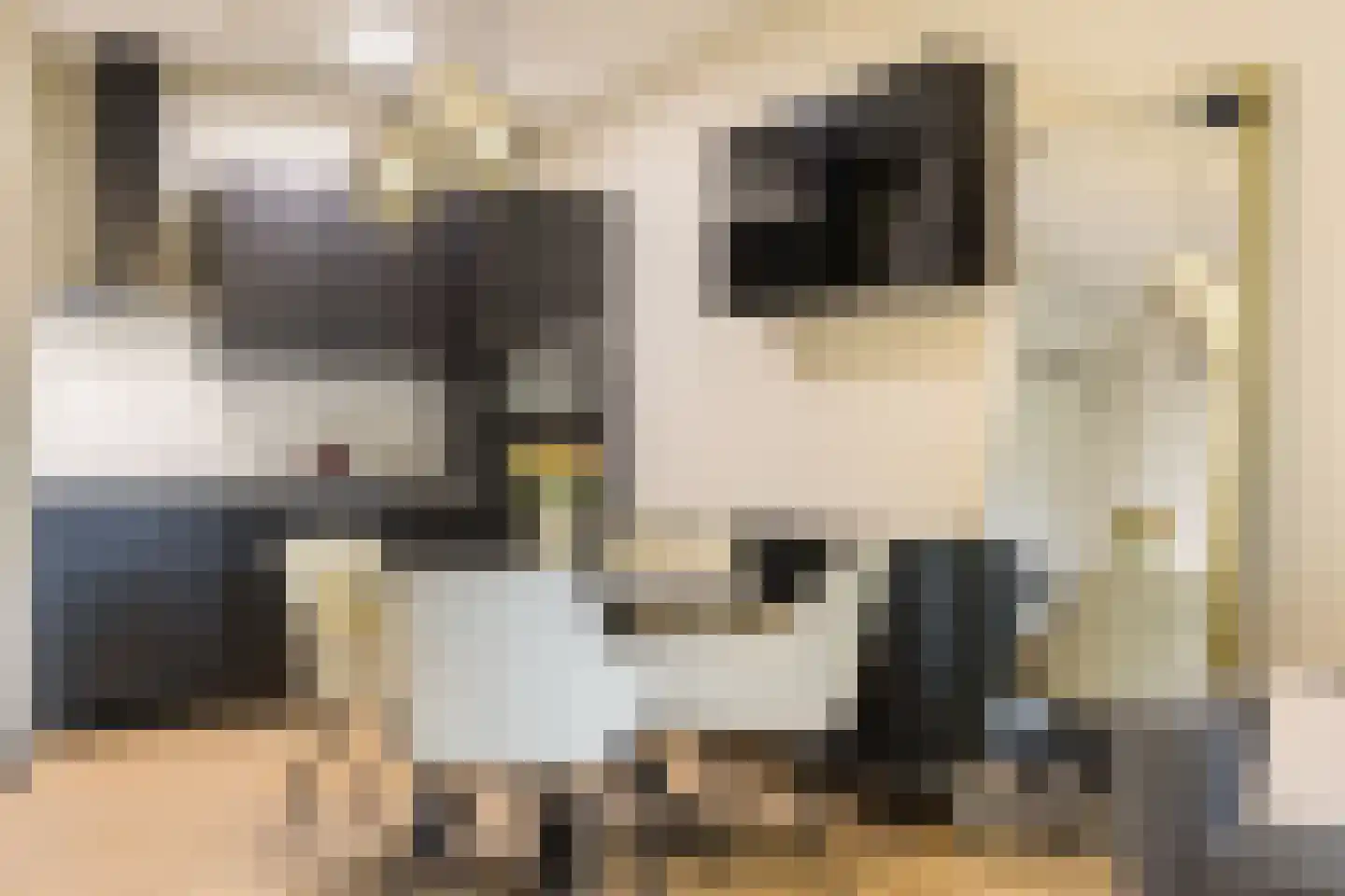 Ooievaar 5 Mijdrecht thumbnail 9