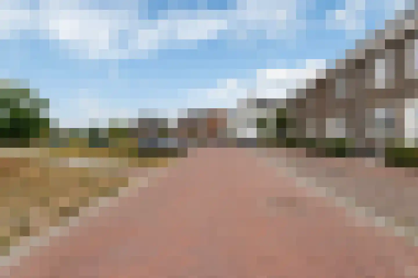 Ooievaar 51 Esch foto 3