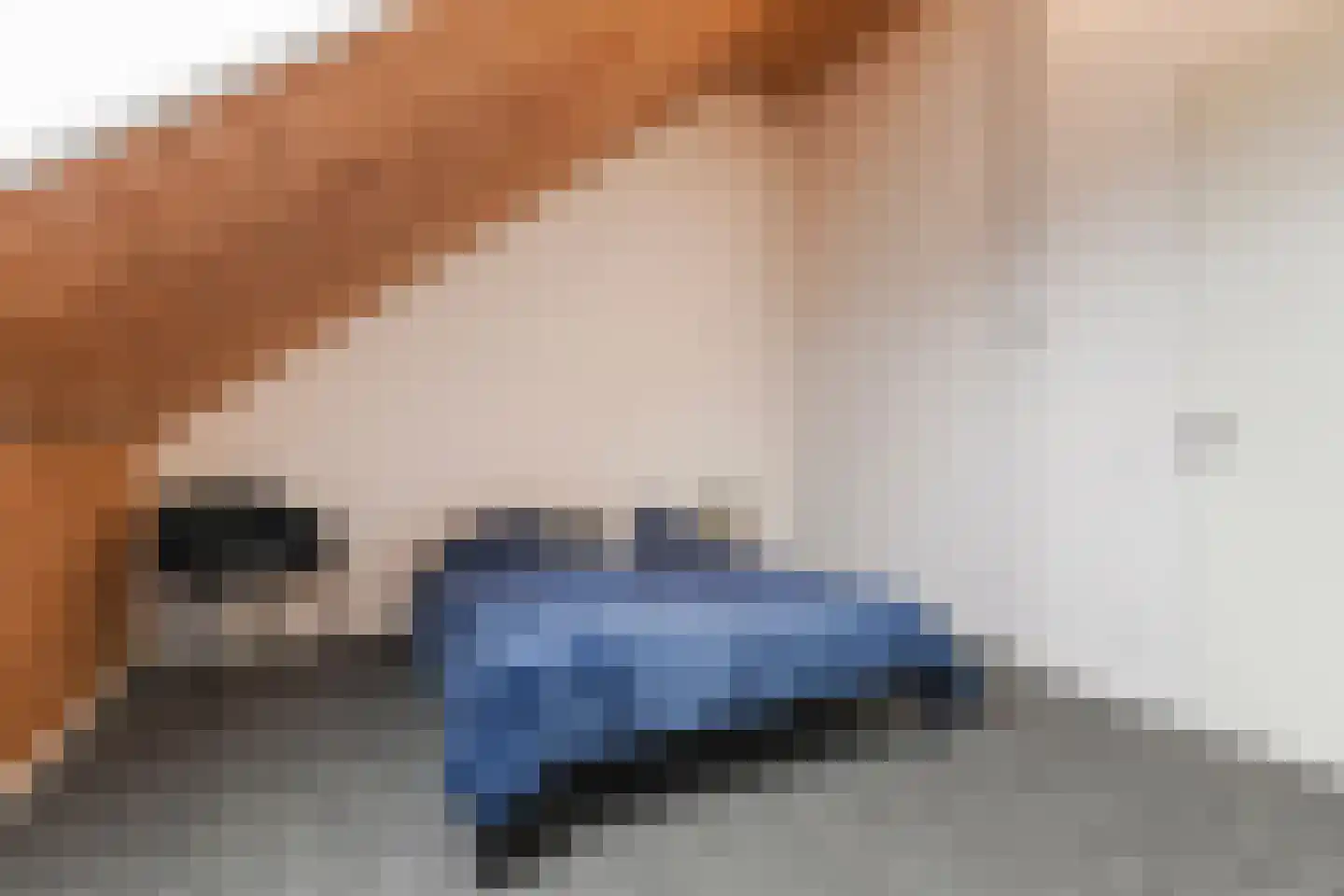 Ooievaar 51 Esch thumbnail 47