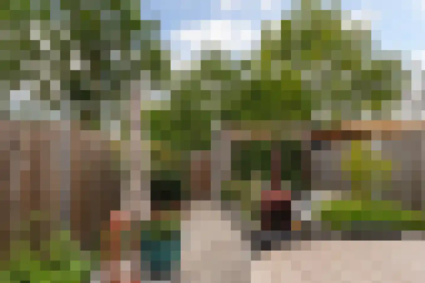 Ooievaar 51 Esch thumbnail 50