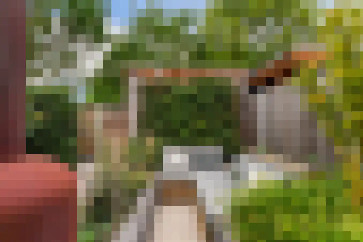 Ooievaar 51 Esch thumbnail 51