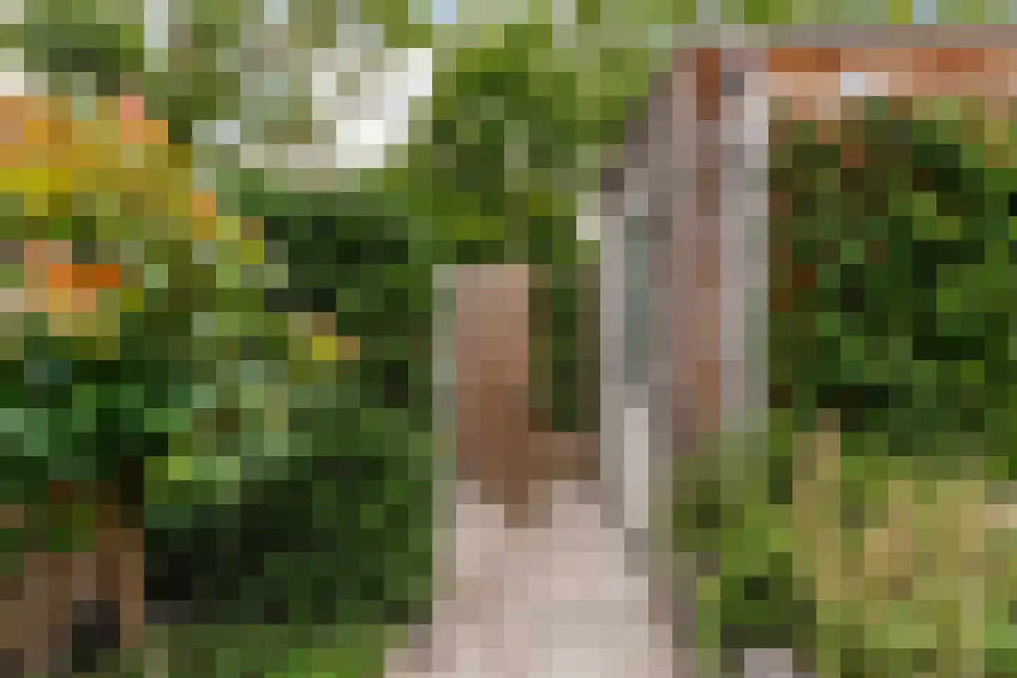 Ooievaar 51 Esch thumbnail 52