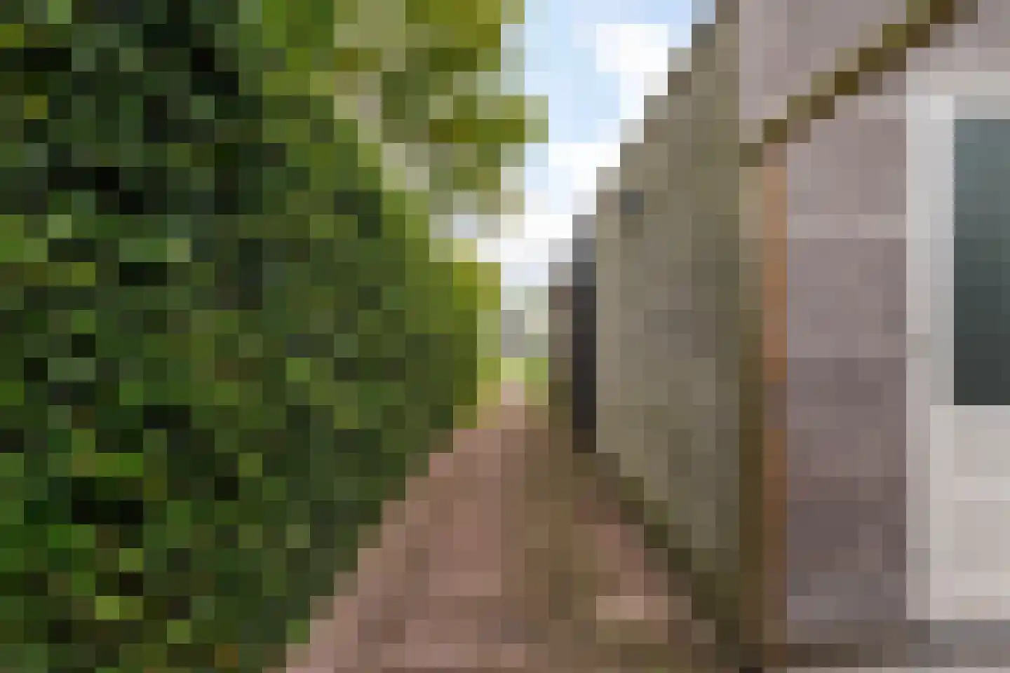 Ooievaar 51 Esch thumbnail 53