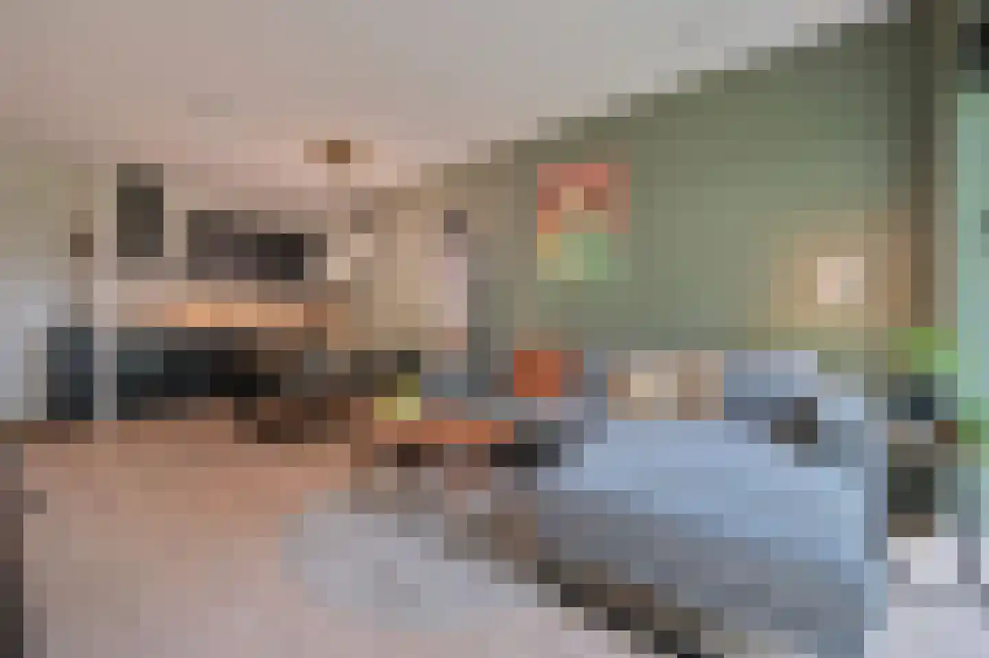 Ooievaar 6 Mijdrecht thumbnail 10