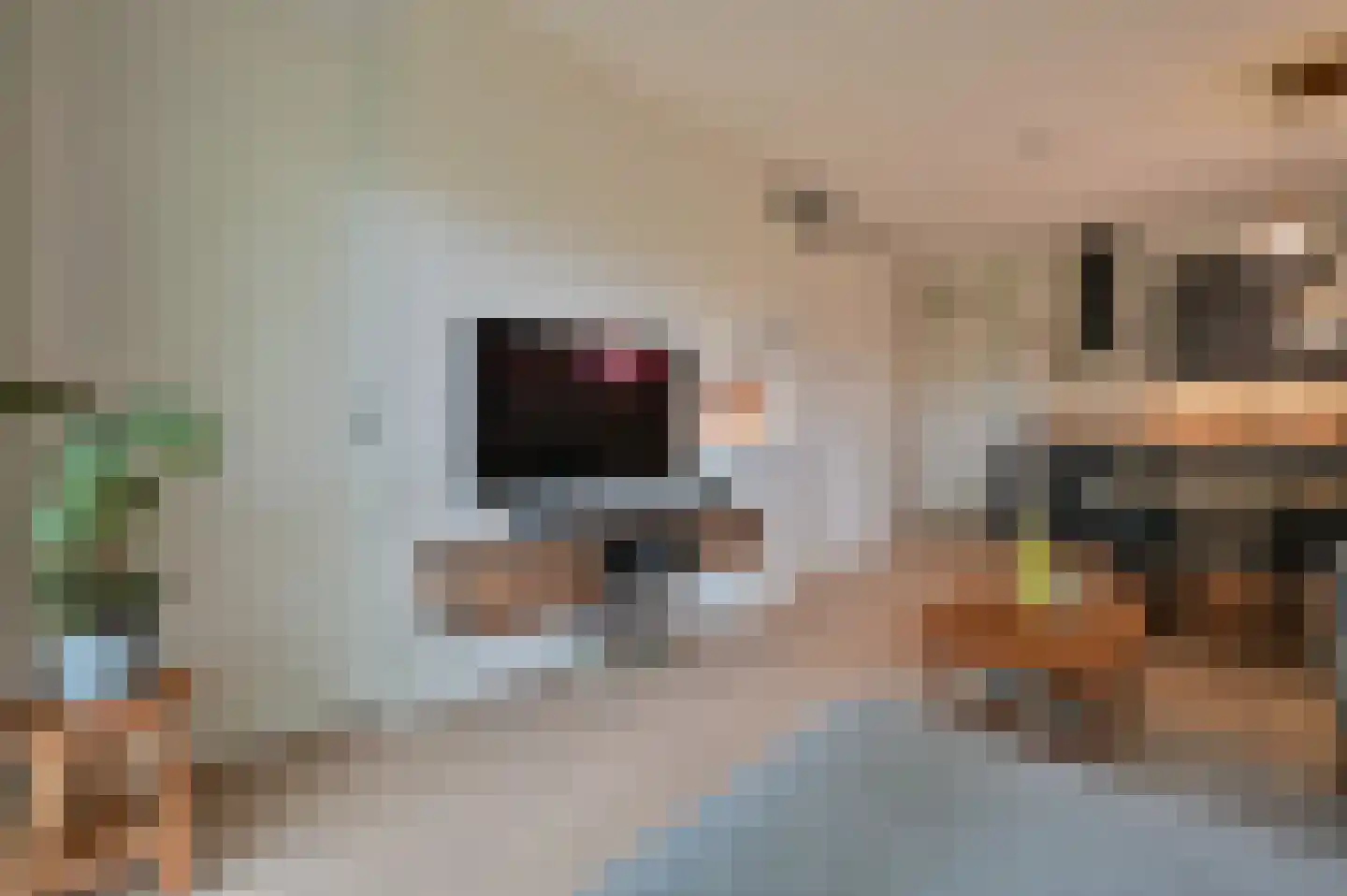 Ooievaar 6 Mijdrecht thumbnail 13