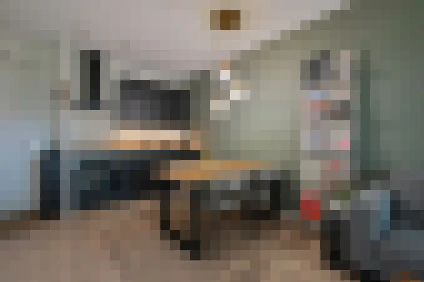 Ooievaar 6 Mijdrecht thumbnail 14