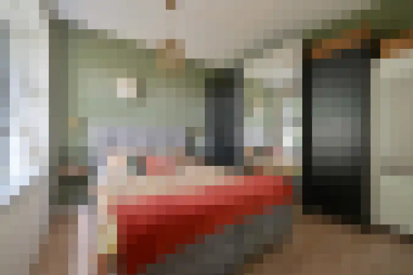Ooievaar 6 Mijdrecht thumbnail 16